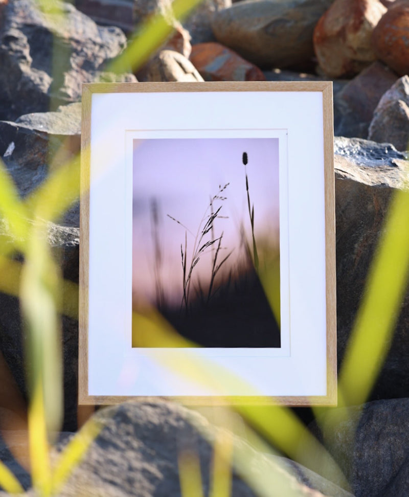 FINE ART PRINTS