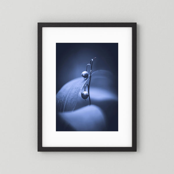 Lily of the Valley (Art Print)