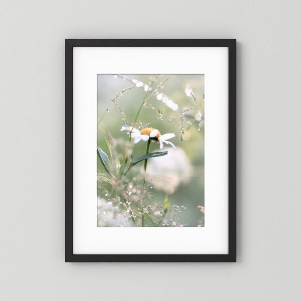 Baptismal drops (art print)